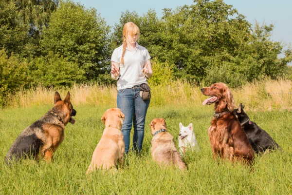 Estudia Etología Canina en Euroinnova